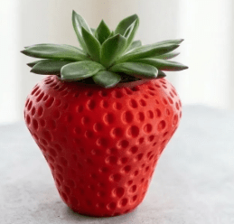 Strawberry Planter (PREPAID ONLY)