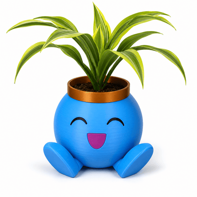 Happy Face Planter (PREPAID ONLY)