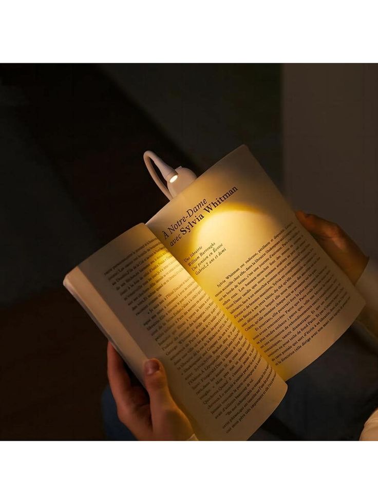 Moon Hug Lamps🌙