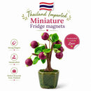 Thai Flora Magnets