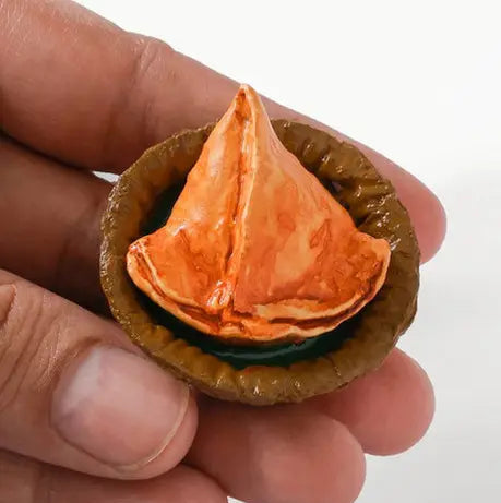 SAMOSA  FRIDGE MAGNET