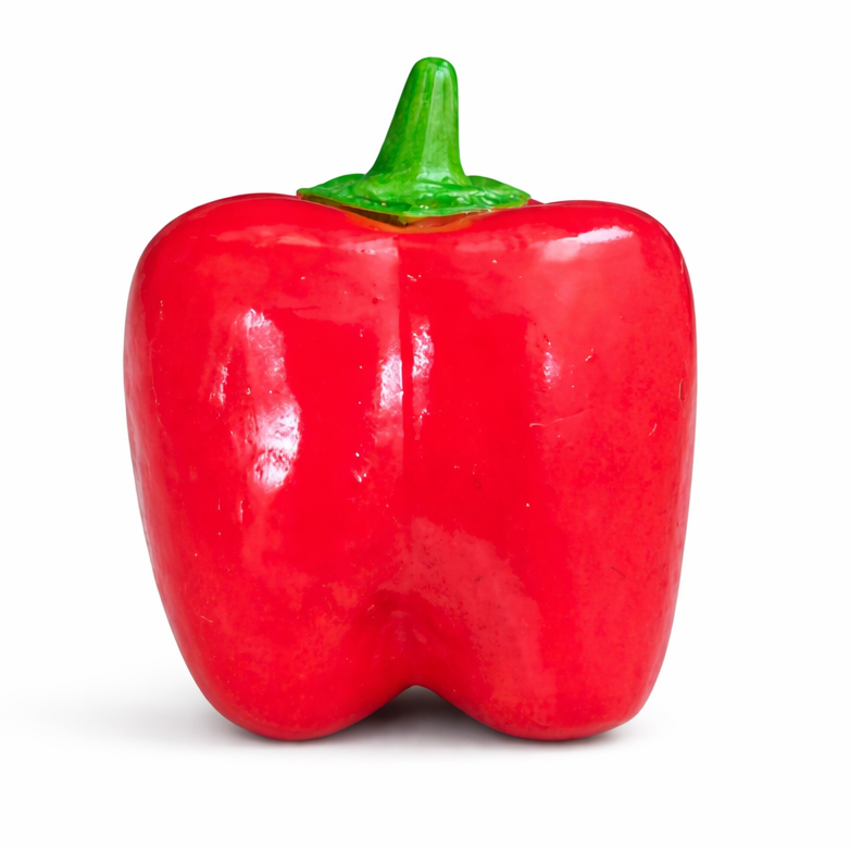 SPICY FRIDGE MAGNET