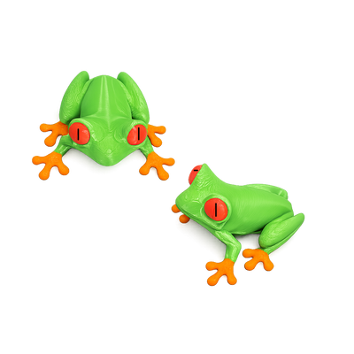 AMAZON TREE FROG  FRIDGE MAGNET