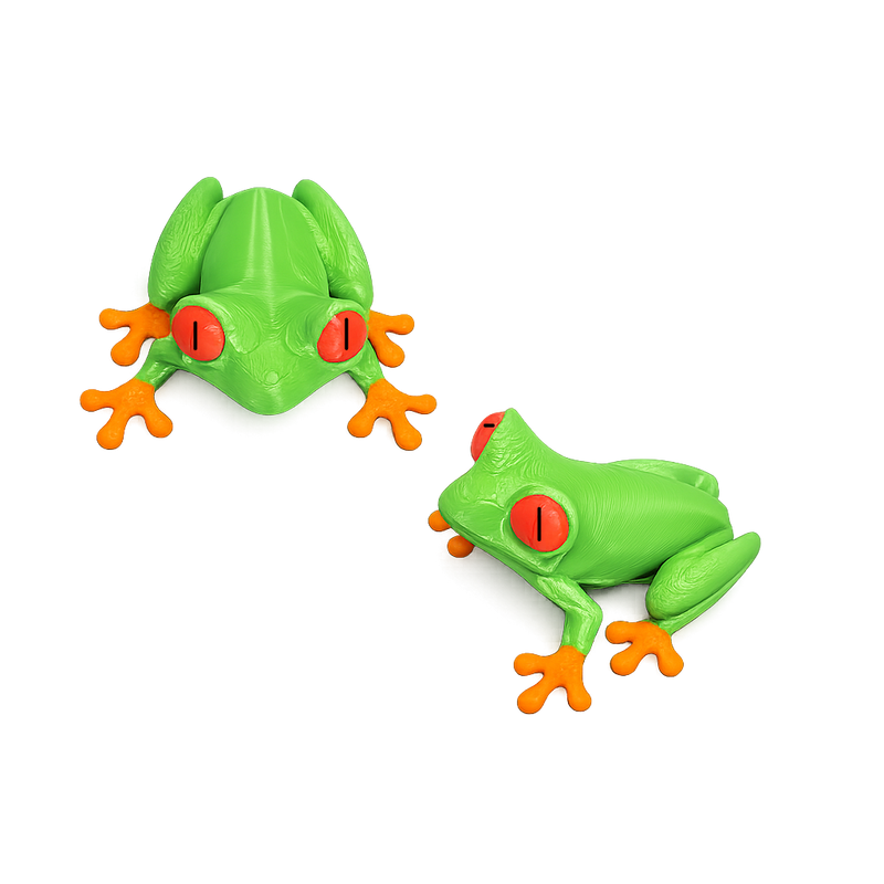 AMAZOON TREE FROG  FRIDGE MAGNET