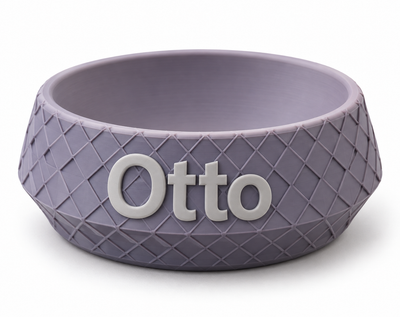 Personalized  Pet Bowl 🐾 (PREPAID ONLY)