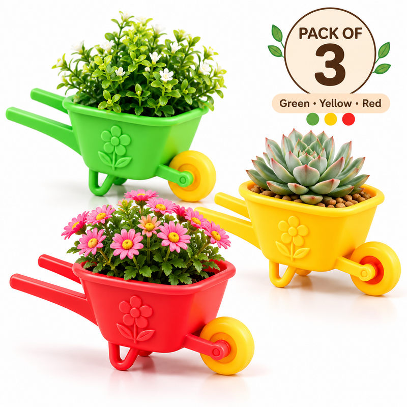 Mini Wheelbarrow Planter – Pack of 3 (PREPAID ONLY)