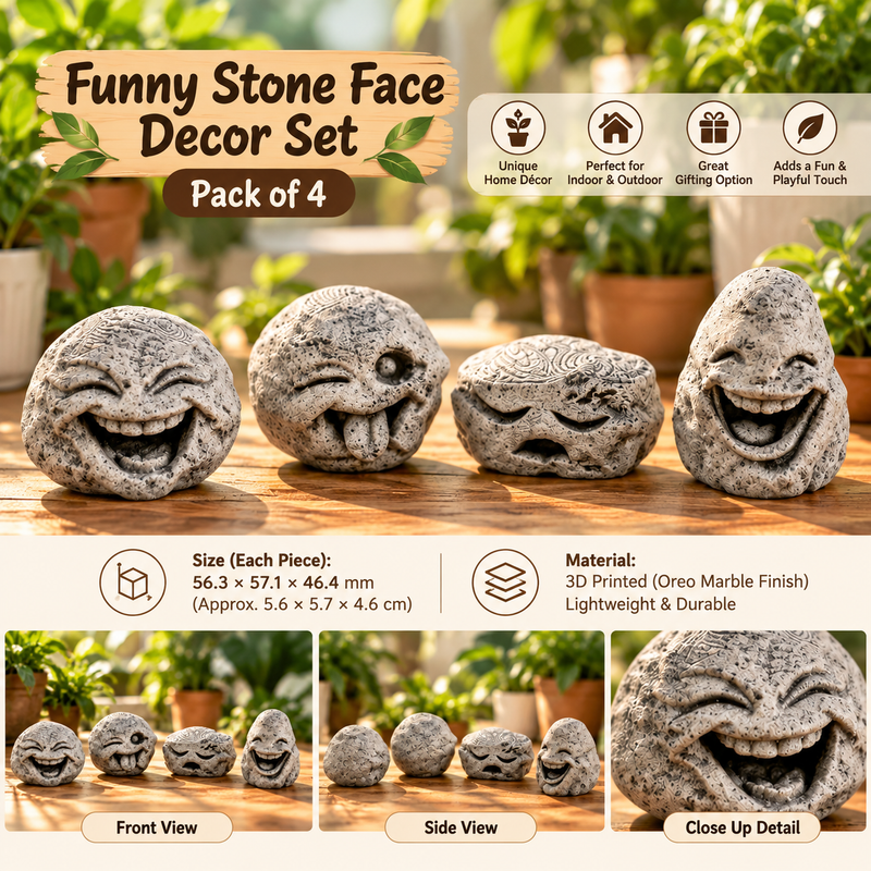 Funny Stone Face Décor – Pack of 4 (PREPAID ONLY)
