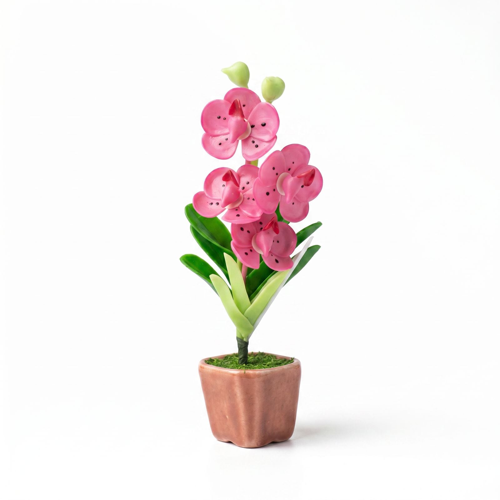 THAI SAKURA BLOOM FRIDGE MAGNET