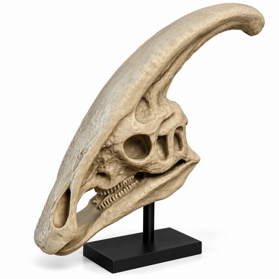 Prehistoric Dinosaur Skull Sculpture