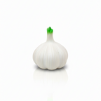 GARLIC SQUEEZE FRIDGE MAGNET