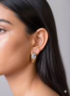 JIWON EARNINGS