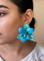 MARIS EARNINGS