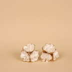CAELIA EARNINGS