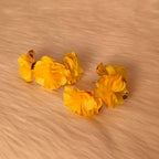 ISELLE EARNINGS