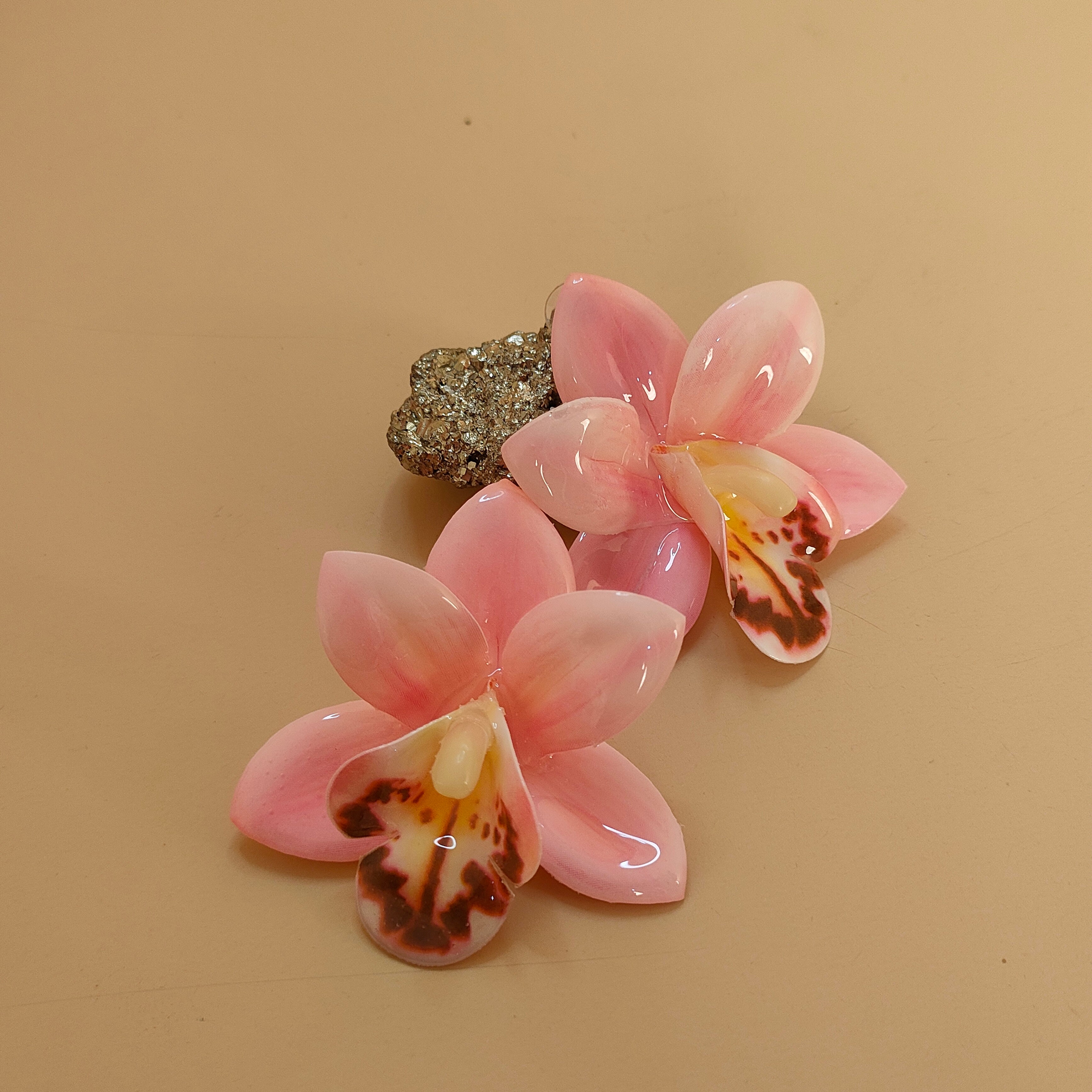 LUNORA EARNINGS