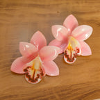 LUNORA EARNINGS