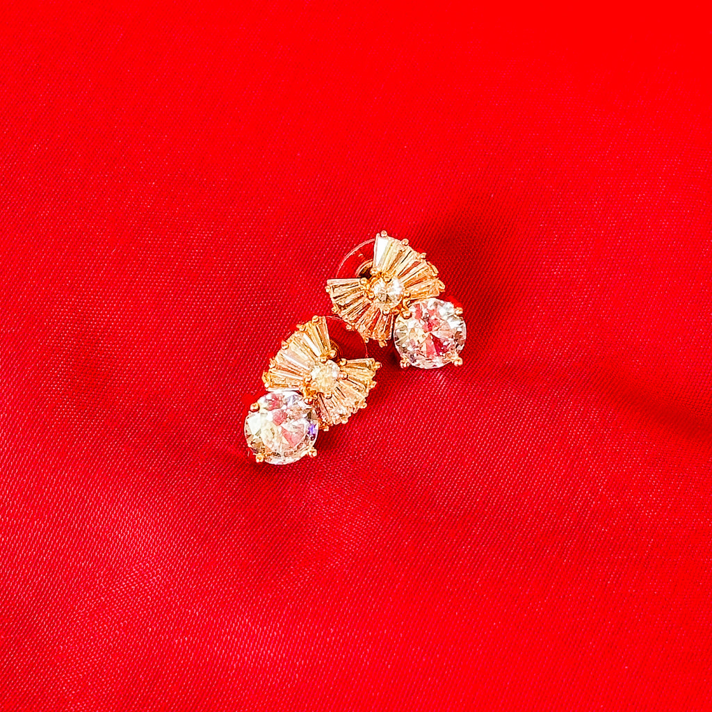 SIORA EARNINGS