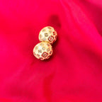 VEYLIN EARNINGS