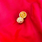 VEYLIN EARNINGS