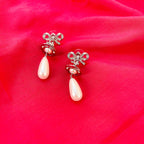 ZIORA EARNINGS
