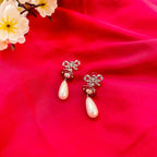 ZIORA EARNINGS
