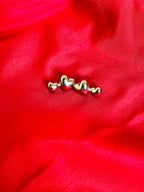 AREUM EARNINGS