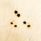 HAYOON EARNINGS