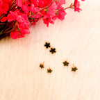 HAYOON EARNINGS