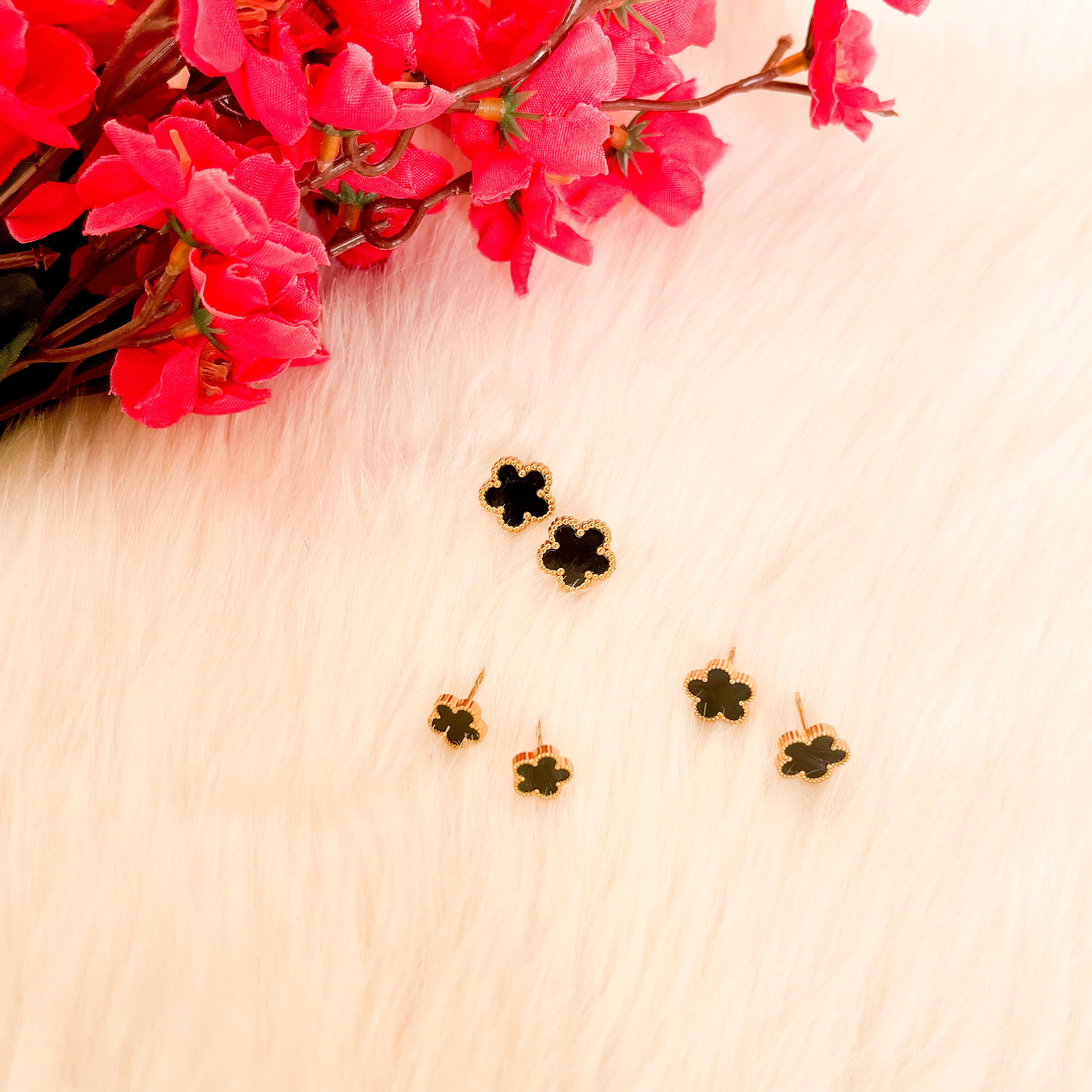 HAYOON EARNINGS