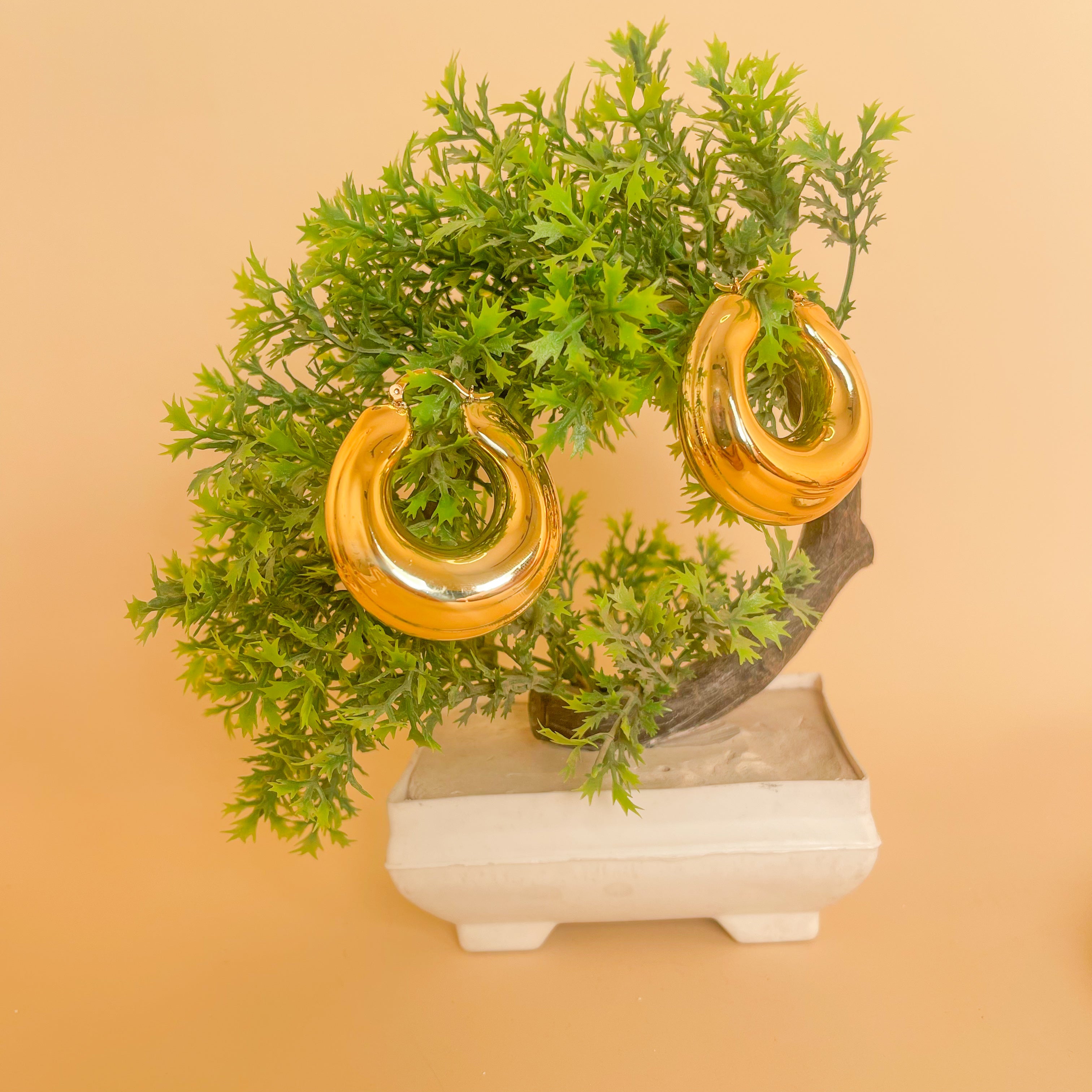 YEORI EARNINGS