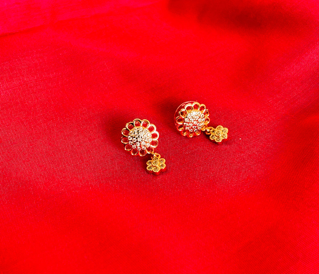 ARDEN EARNINGS