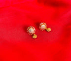 ARDEN EARNINGS