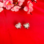 DAIN EARNINGS
