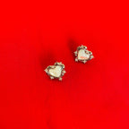 DAIN EARNINGS