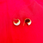 ERYA EARNINGS