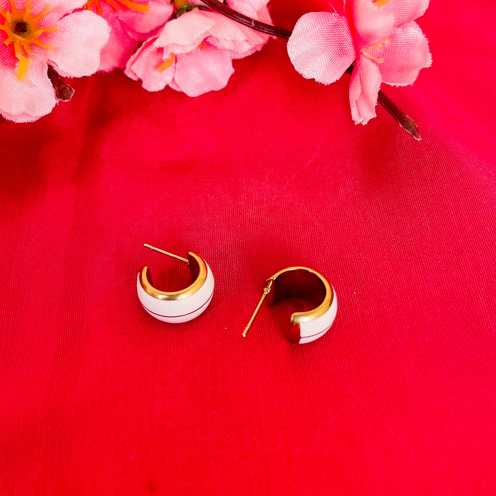 ERYA EARNINGS