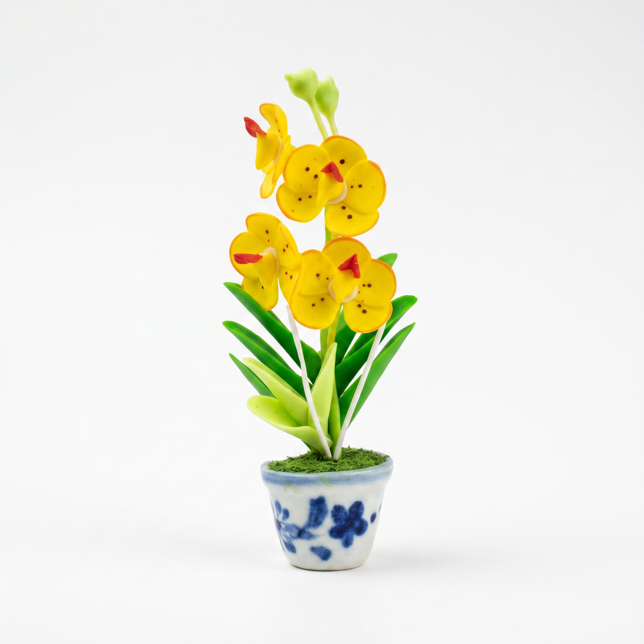 THAI GOLDINE SUNSHINE FLOWER  FRIDGE MAGNET