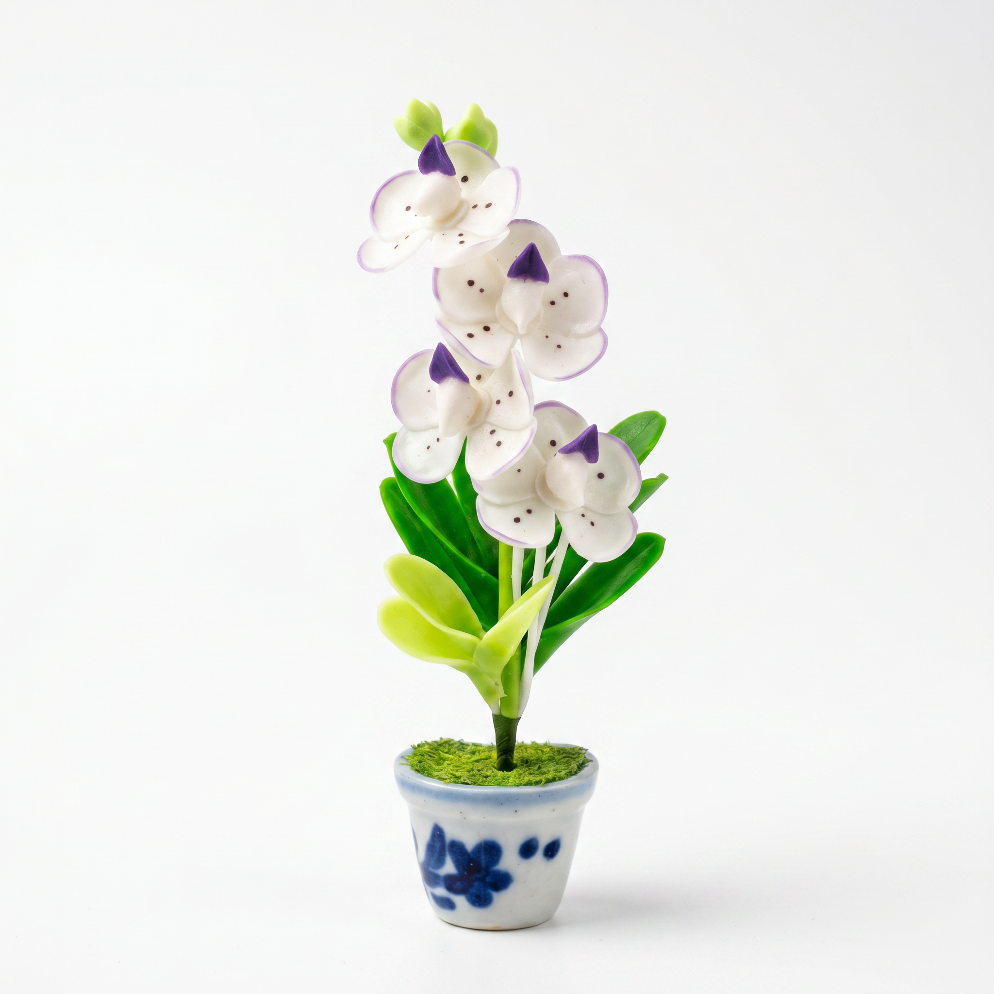 THAI JASMINE BLOOM  MAGNET