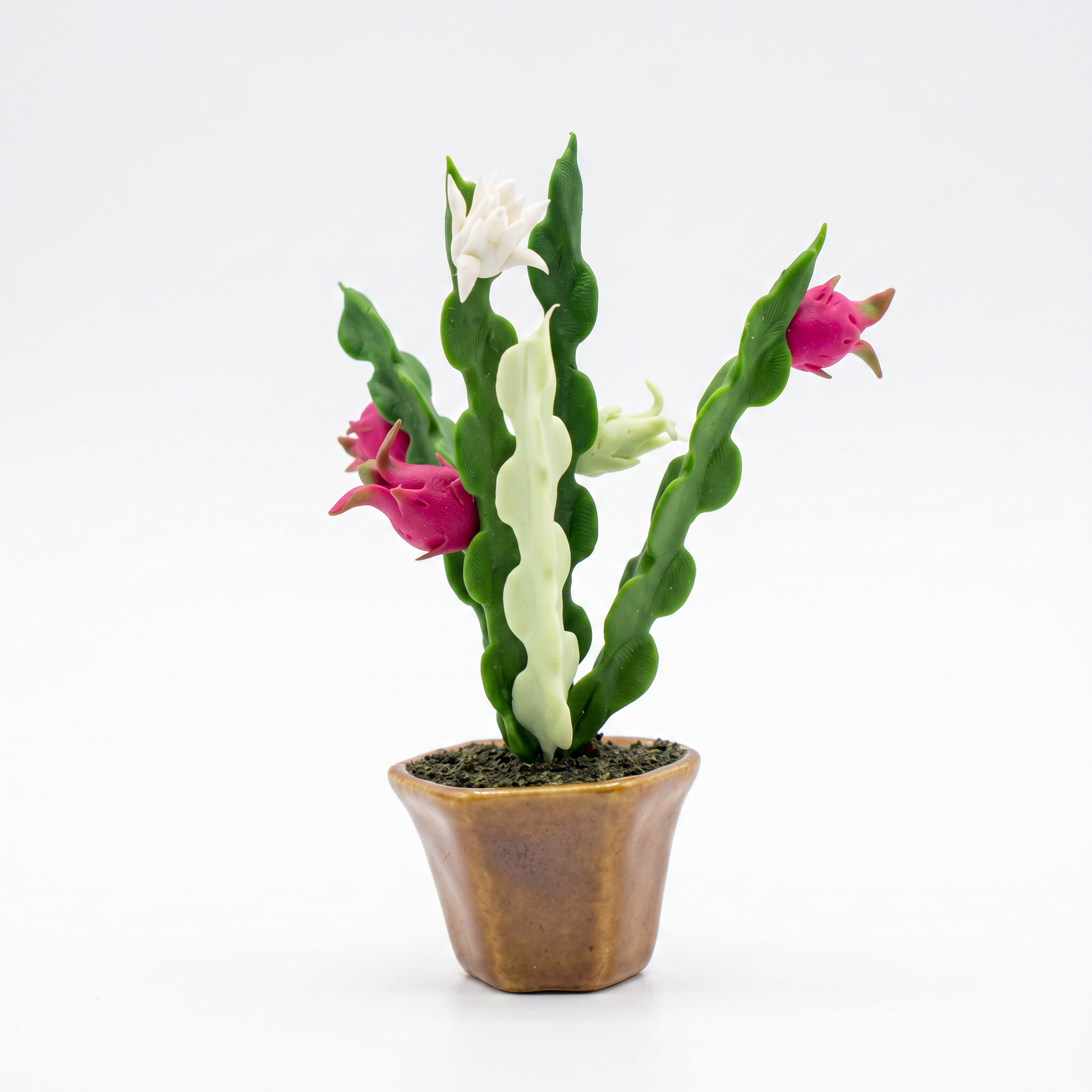 THAI DRAGON FRUIT TREE FRIDGE MAGNET