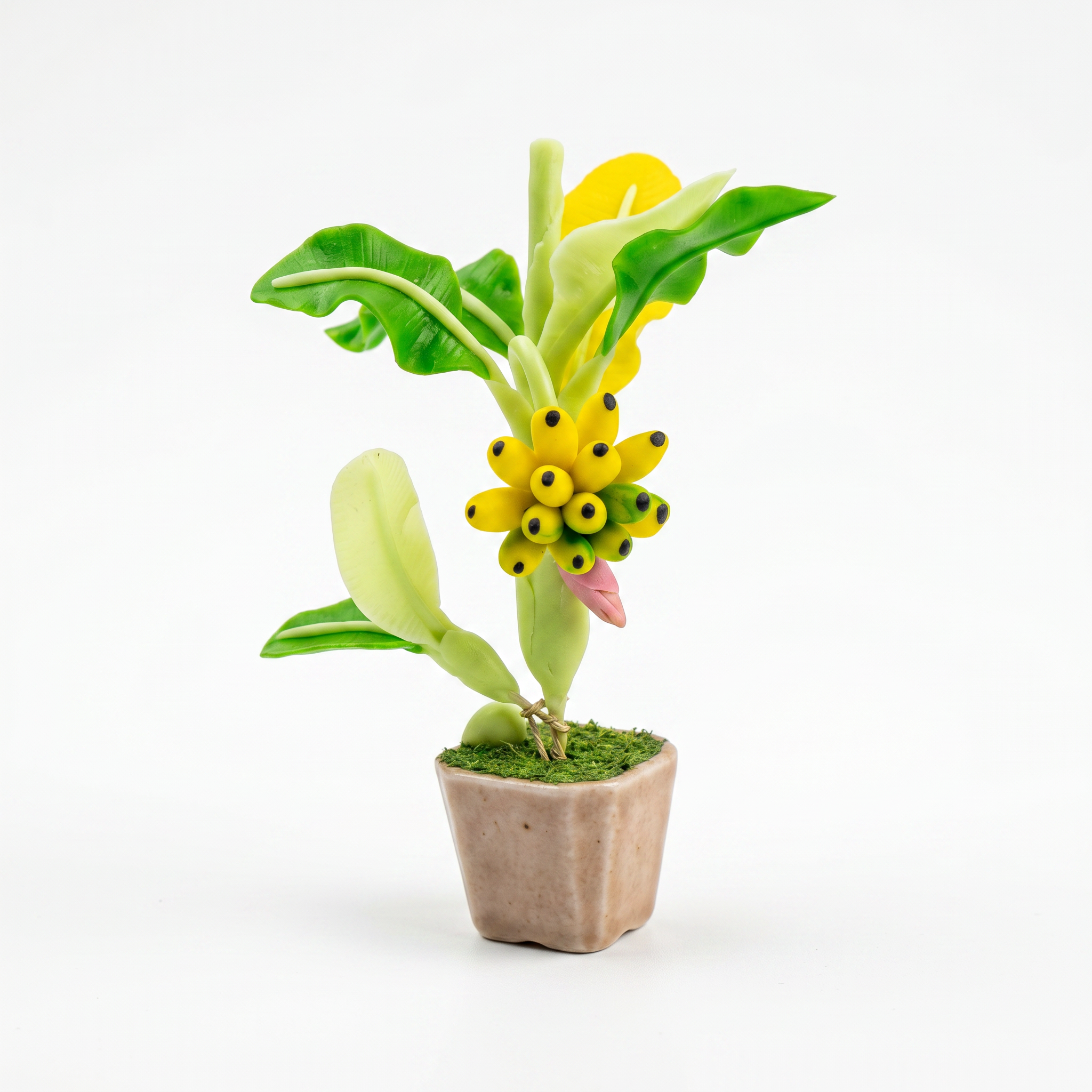 THAI BANANA TREE FRIDGE MAGNET