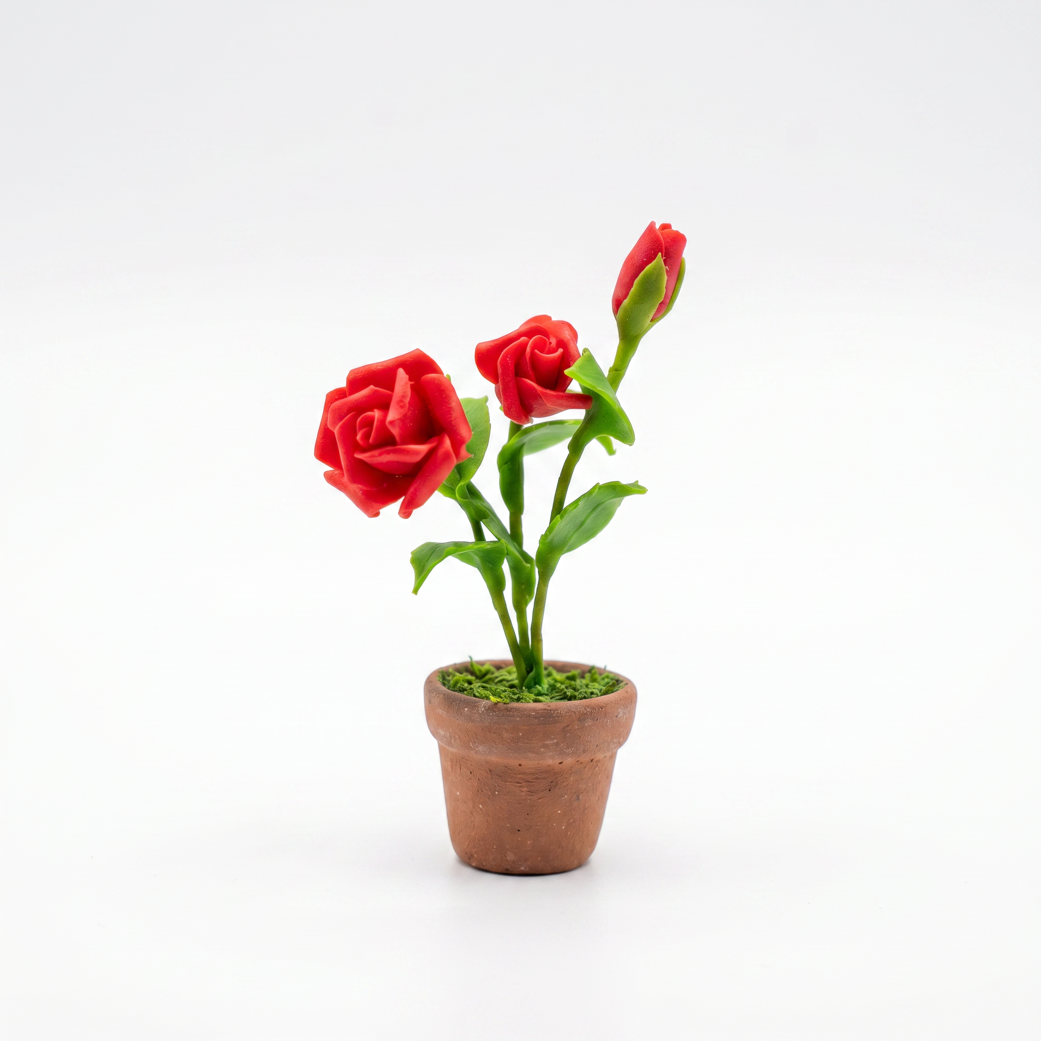 THAI ROSE PLANT  FRIDGE MAGNET (RANDOM COLORS)