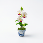 THAI BLOSSOM MAGNET (RANDOM COLORS)