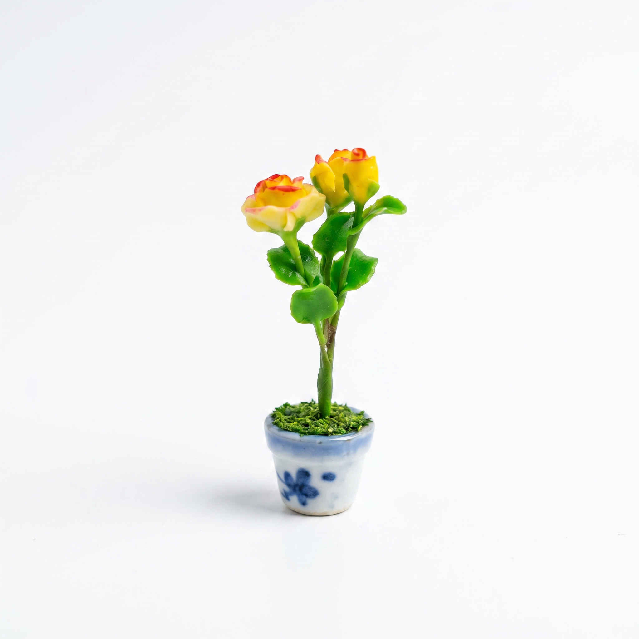 THAI ROSE PLANT  FRIDGE MAGNET (RANDOM COLORS)