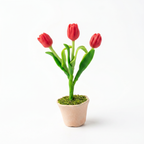 THAI TULIP MINI FRIDGE MAGNET (RANDOM COLORS)