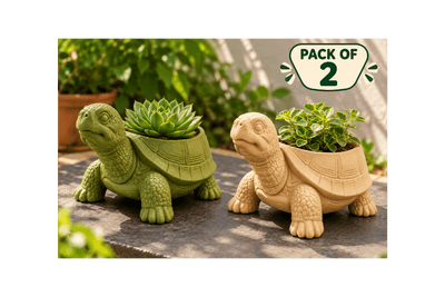 Turtle Planter – 3D Printed Decorative Plant Pot | Pack of 2 (prepaid)