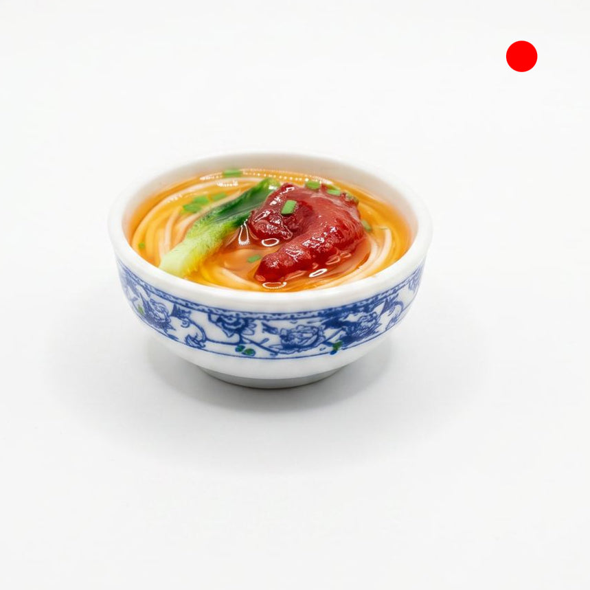 CHICKEN NOODLES BOWL  FRIDGE MAGNET