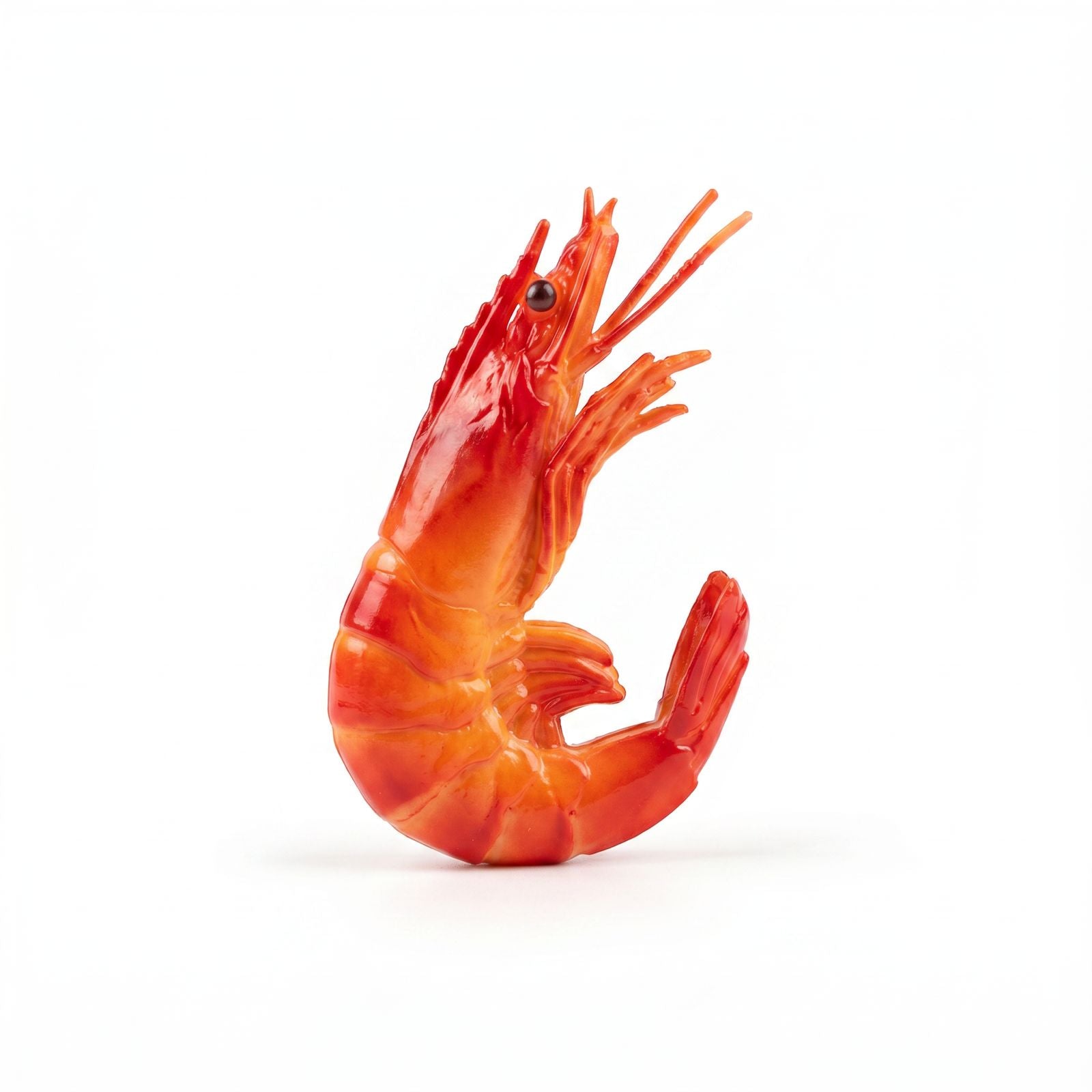 PRAWNS  FRIDGE MAGNET