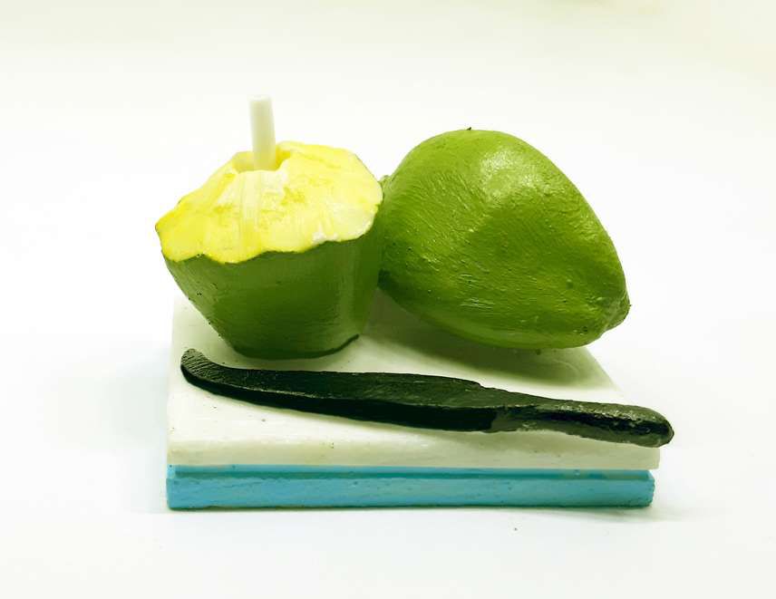 COCONUT  FRIDGE MAGNET