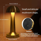 YA11 The Solace Collective Lamp