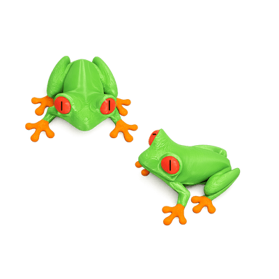 AMAZON TREE FROG FRIDGE MAGNET - PICKITT MARKET